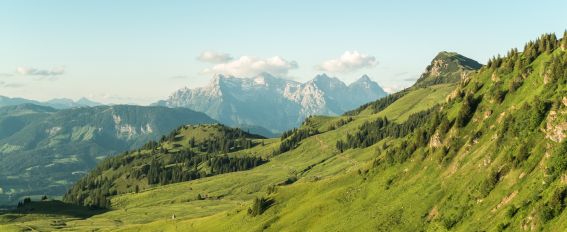 Die Kitzbüheler Alpen bieten tolle Panoramen: hier mit Blick auf die Loferer Steinberge