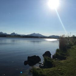 Der wunderschöne Hopfensee im Allgäu im Frühling
