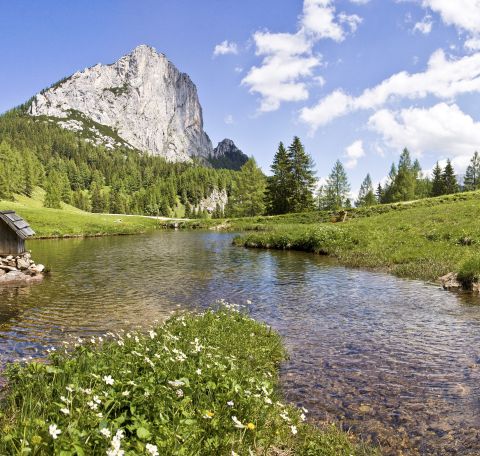 Des vacances actives dans l'une des plus belles vallées des Alpes - L'hôtel Explorer Hinterstoder est l'hébergement idéal dans la région de Pyhrn-Priel pour les explorateurs alpins sportifs.