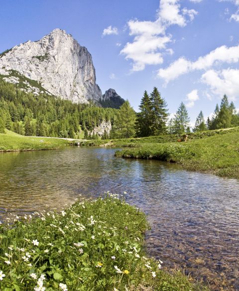 Natur pur in Deinem Aktivurlaub in Hinterstoder der Pyhrn-Priel Region