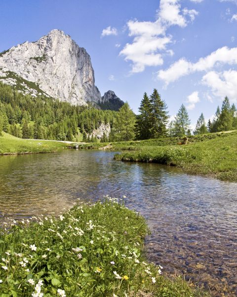 Actieve vakantie in een van de mooiste dalen van de Alpen: het Explorer Hotel Hinterstoder is de ideale accommodatie in de regio Pyhrn-Priel voor sportieve Alpenontdekkers.