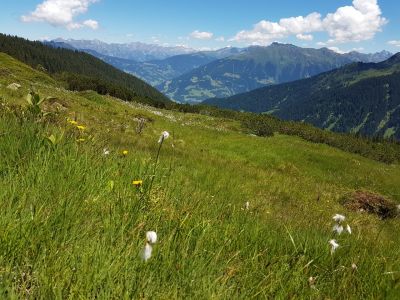 Von Golm über Latschau zur Lindauer Hütte geht die Explorer Wanderung durch wunderschöne Natur.