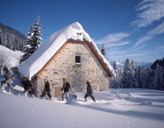 Schneeschuhwandern bei der Dörflmoaralm Durch den Schnee stapfen und dabei ein herrliches Alpenpanorama genießen - das geht in Deinem Winterurlaub im Explorer Hotel in Hinterstoder.