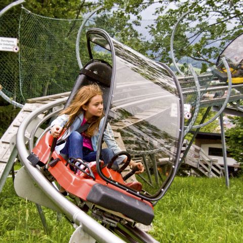 Spaß für die großen und kleinen Entdecker bietet der Alpine Coaster am Erlebnisberg Wurbauerkogel. Action pur kannst Du bei Deiner Wandertour auf der Fahrt zurück ins Tal mit der Sommerrodelbahn erleben.