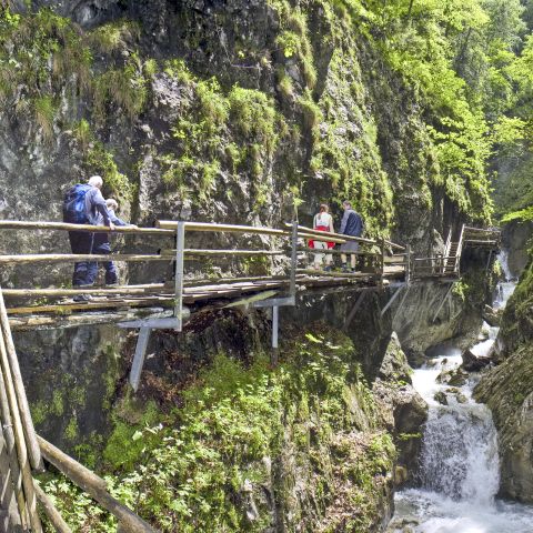 Bei jedem Wetter ist die Dr.-Vogelgesang-Klamm ein echtes Naturschauspiel und ein tolles Ausflugsziel in Deinem Explorer Urlaub in Hinterstoder in Oberösterreich.
