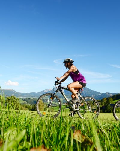 Wähle aus zahlreichen Mountainbiketouren in Deinem Urlaub in Hinterstoder in Oberösterreich.
