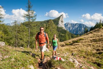 Aufstieg zur Wurzeralm in der Ferienregion Pyhrn-Priel