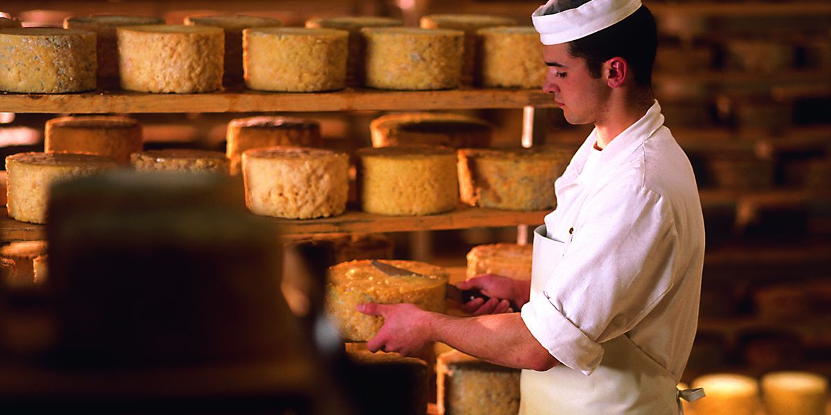 Erlebe ganz nah wie Heumilchkäse entsteht