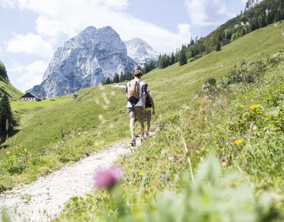 Hiking as a couple or in a group at Hohen Gerstfeld on your summer vacation in Bavaria. Ask our buddies at the Explorer Hotel for insider tips.