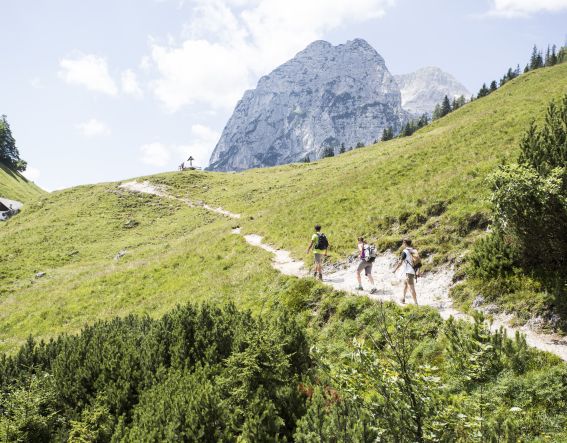 De Hohe Gerstfeld altijd in zicht De wandeling naar de Halsalm begint bij Hintersee in Berchtesgadener Land, vlakbij Explorer Hotel Schönau. Uw onvergetelijke zomervakantie aan de Königssee kan beginnen.