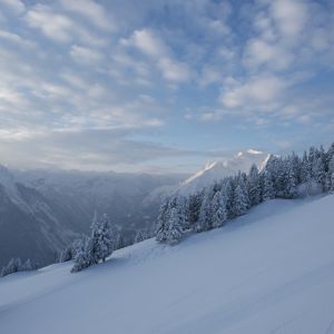 Was für eine Aussicht!