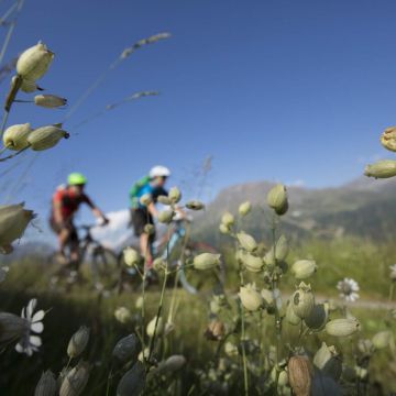 Mountainbiken am Brunnenberg bei Sölden