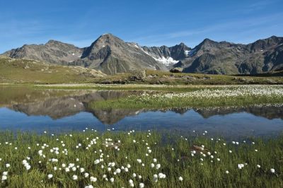 Wie naar de Wannenkarsee reist, kan genieten van dit magnifieke uitzicht: langs ruige berghellingen geniet je van bloeiende bergweiden.