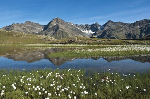 Tento nádherný výhled čeká na ty, kteří se vydají k Wannenkarsee. Podél drsných horských svahů se rozkládají rozkvetlé horské louky.