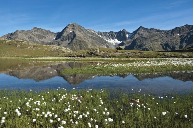 Ce panorama exceptionnel attend ceux qui se rendent au lac Wannenkar. Outre les pentes montagneuses escarpées, on peut également admirer des prairies alpines fleuries.