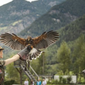 Greifvogelpark Umhausen