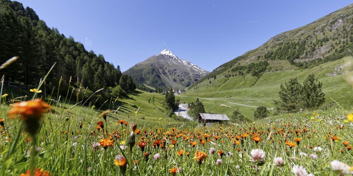 Sommer in Vent Im Ötztal findet man zahlreiche Alpentäler, wo die Ruhe und die Stille der Natur noch zum Greifen nahe sind.