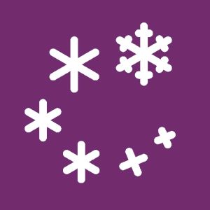 Veranstaltungen Icons Schneeflocke