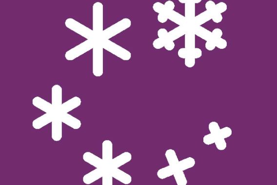 Veranstaltungen Icons Schneeflocke