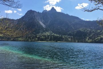 Alpsee mit Säuling im Hintergund