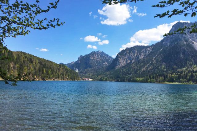 Alpsee mit Schloss Neuschwanstein