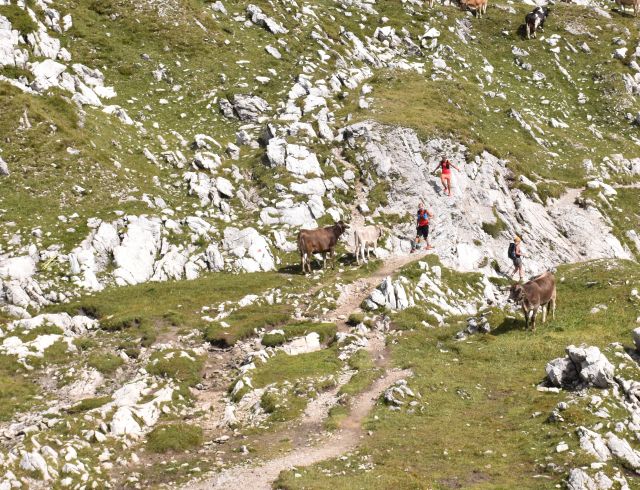 In de Allgäuer Alpen vind je fantastische trails voor berglopen. Ga eropuit vanaf je basiskamp, het Explorer Hotel Oberstdorf.