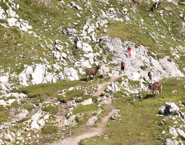 Oblast stezek Allgäuské Alpy V Allgäuských Alpách najdete skvělé stezky pro horský běh. Vydejte se na ně ze svého základního tábora, Explorer Hotelu Oberstdorf.