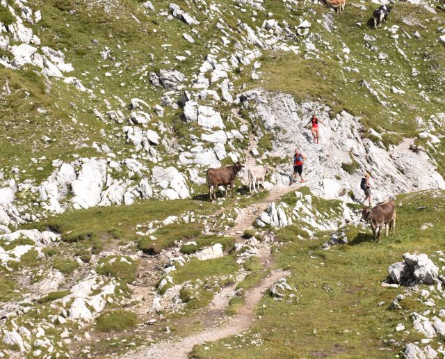 Trail area Allgäu Alps In the Allgäu Alps, you'll find great trails for mountain running. Hit the trails from your base camp, the Explorer Hotel Oberstdorf.