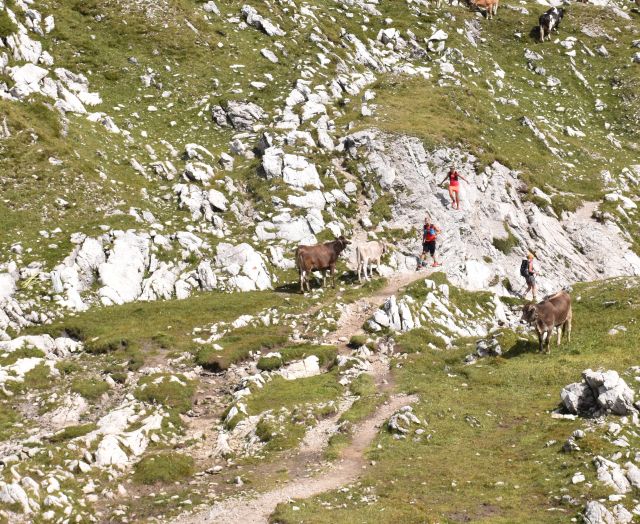 Dans les Alpes de l'Allgäu, vous trouverez des sentiers exceptionnels pour la course en montagne. Débutez votre course depuis votre camp de base, l'Explorer Hotel Oberstdorf.