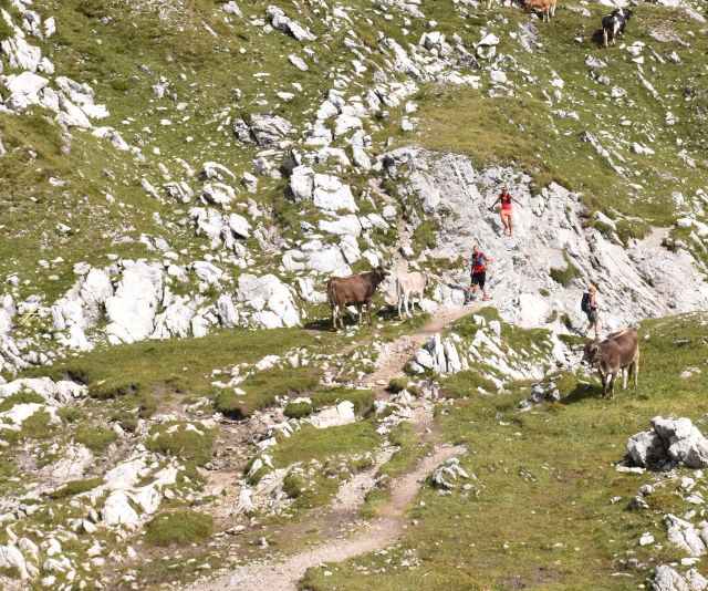 Allgäu-Alpok túraútvonala Az Allgäui-Alpokban nagyszerű hegyi futásra alkalmas ösvényeket találsz. Indulj el ezekre a túraútvonalakra a kiindulópontodból, az Explorer Hotel Oberstdorfból.