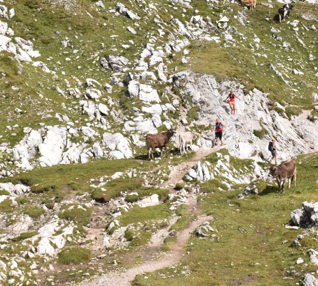 W Alpach Algawskich znajdziesz świetne trasy do biegania po górach. Wyrusz na szlaki z bazy wypadowej, Explorer Hotel Oberstdorf.