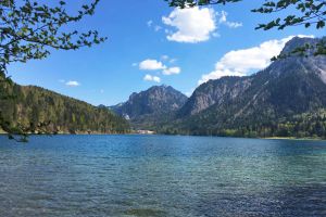 Alpsee mit Schloss Neuschwanstein