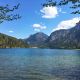 Alpsee mit Schloss Neuschwanstein