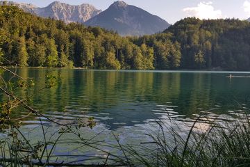 Badetipp für Mutige: Alatsee