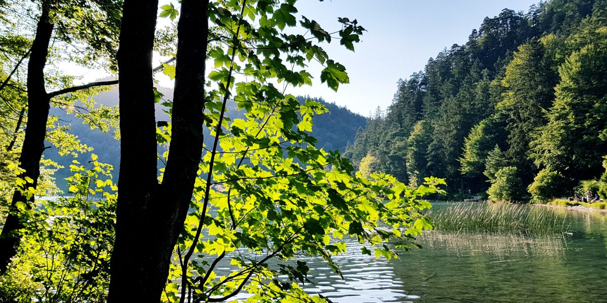 Tipp für heiße Tage: Alatsee