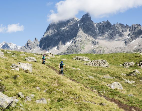 Entdecke spannende Touren mit Deinem Mountainbike in den Alpen in Deutschland und Österrreich. Jetzt Urlaub in den Explorer Hotels buchen und losstarten.
