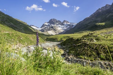 Der Piz Buin