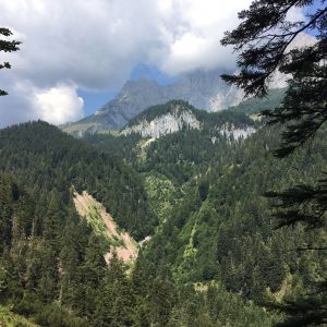 Aussicht mit Wilder Kaiser Blick