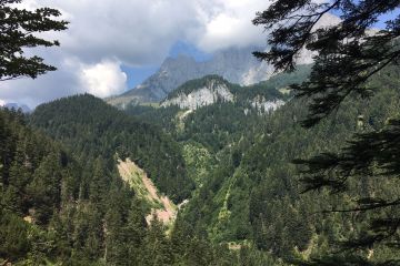 Aussicht mit Wilder Kaiser Blick