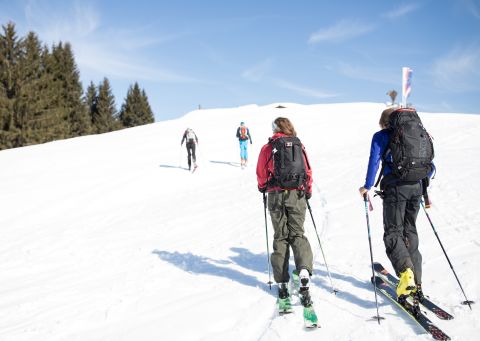 Skitourtip in Oostenrijk - Skitour Kitzbüheler Horn