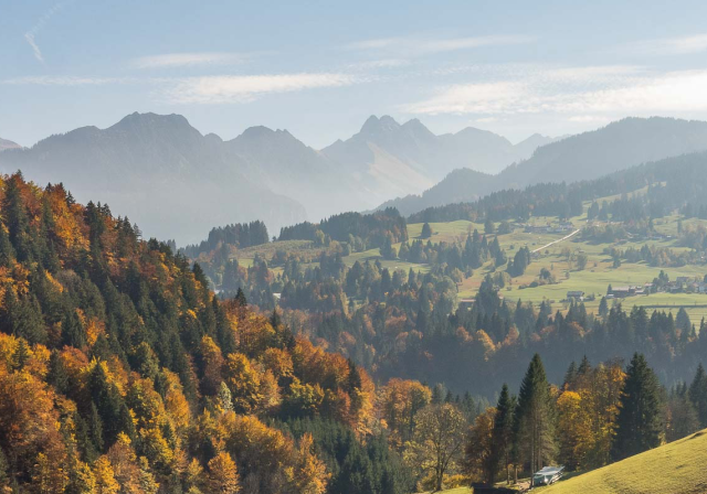 Blick auf die Allgäuer Alpen