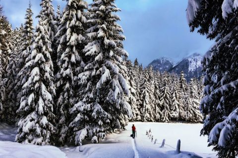 Vivi un'escursione con le ciaspole con i professionisti degli sport di montagna di ALPINZEIT nell'Ötztal