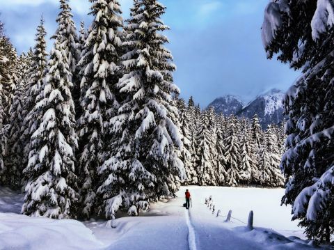 Beleef een sneeuwschoenwandeling met de bergsportprofessionals van ALPINZEIT in het Ötztal