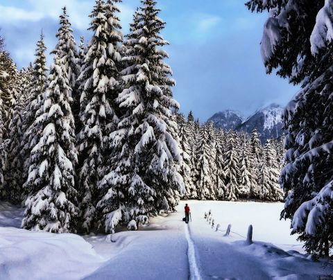 Zažijte túru na sněžnicích s profesionály v horských sportech z ALPINZEIT v Ötztalu