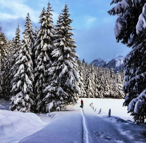 Przeżyj wędrówkę na rakietach śnieżnych z profesjonalistami sportów górskich z ALPINZEIT w Ötztal