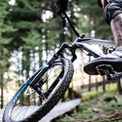 Auf dem Mountainbike durch die Wälder in St. Johann und Umgebung