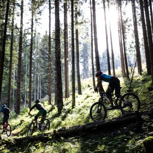 Mountainbiken im Sommerurlaub bei St. Johann in Tirol Traumhafte Bedingungen zum Mountainbiken in den Kitzbüheler Alpen im Urlaub im Explorer Hotel Kitzbühel in St. Johann in Tirol in Österreich.