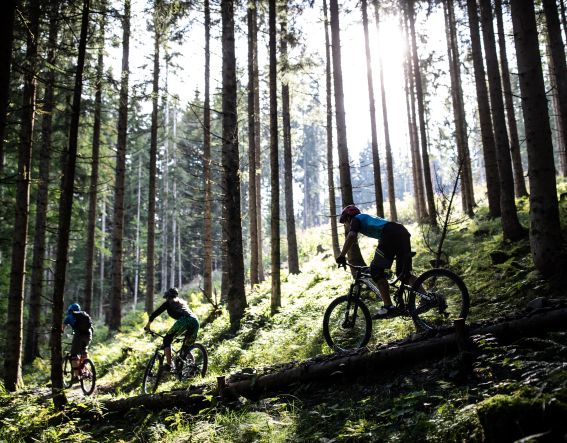 Fantasztikus körülmények hegyi kerékpározáshoz a Kitzbüheli-Alpokban, a tiroli St. Johannban található Explorer Hotel Kitzbühelben töltött nyaralás alatt.