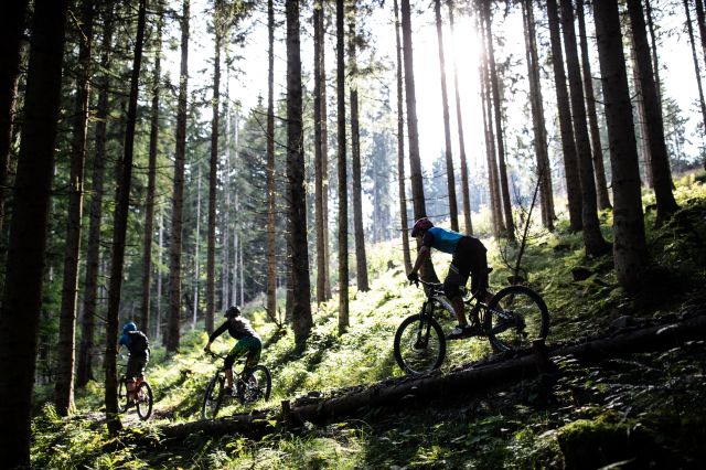 Mountainbiken im Sommerurlaub bei St. Johann in Tirol