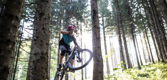 Dein Sommerurlaub in St. Johann in Tirol mit dem Bike
